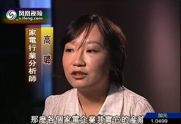 鳳凰衛視采訪中商網研究員高璐