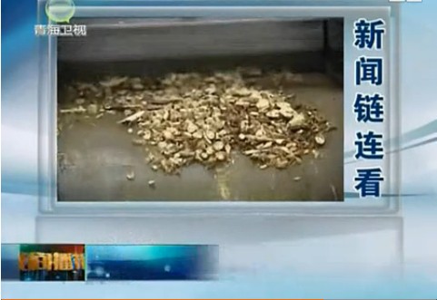 青海衛視晚間播報 引用中商情報網觀點