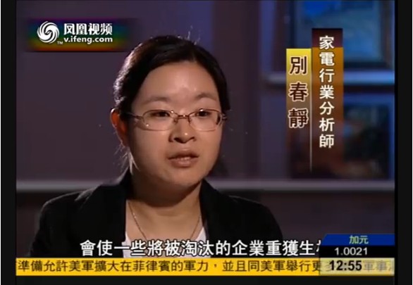 鳳凰衛視財智菁英匯欄目采訪中商情報網研究員別春靜女士